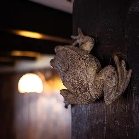 The Twisted Toad Guisborough