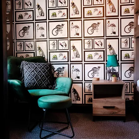 The Twisted Toad Tatil Evi *